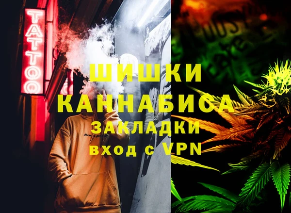 ГАЛЛЮЦИНОГЕННЫЕ ГРИБЫ Медногорск