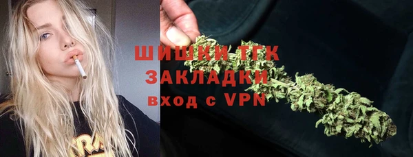 ГАЛЛЮЦИНОГЕННЫЕ ГРИБЫ Медногорск