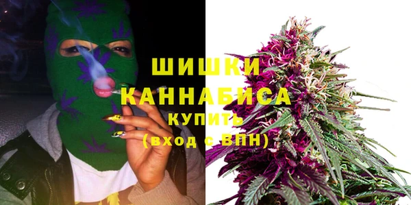 ГАЛЛЮЦИНОГЕННЫЕ ГРИБЫ Медногорск