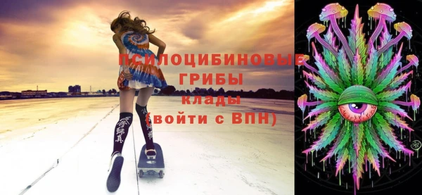 ГАЛЛЮЦИНОГЕННЫЕ ГРИБЫ Медногорск